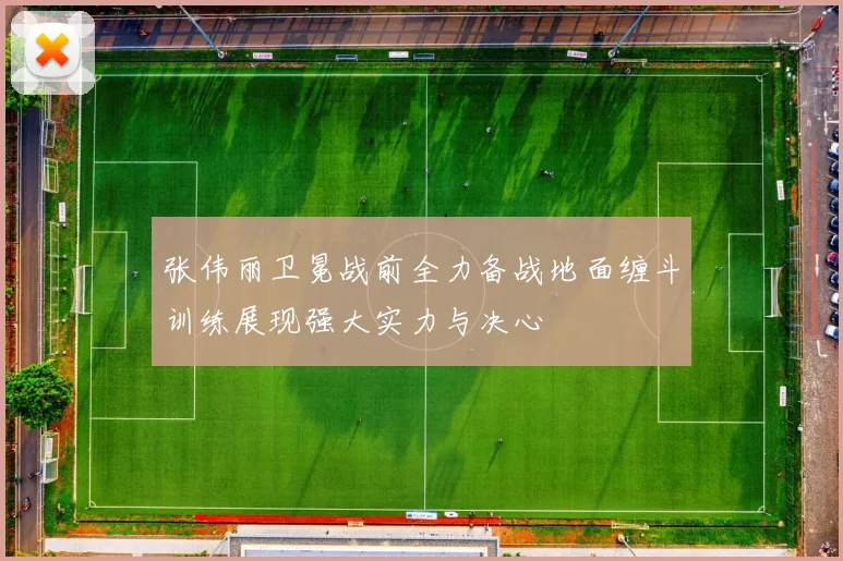 张伟丽卫冕战前全力备战地面缠斗训练展现强大实力与决心