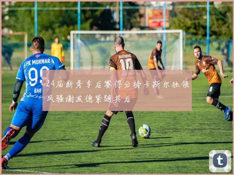 24届新秀季后赛得分榜卡斯尔独领风骚谢泼德紧随其后